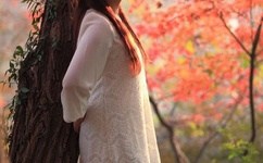 像火花像蝴蝶35全集